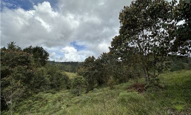 Venta de Lote en El Retiro Pantanillo