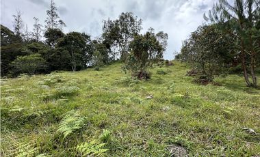 Venta de Lote en El Retiro Pantanillo