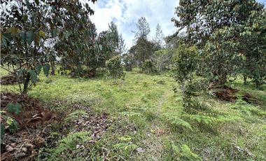 Venta de Lote en El Retiro Pantanillo