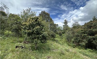 Venta de Lote en El Retiro Pantanillo