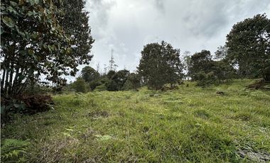 Venta de Lote en El Retiro Pantanillo