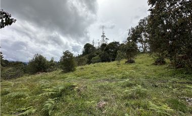 Venta de Lote en El Retiro Pantanillo