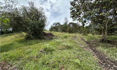 Venta de Lote en El Retiro Pantanillo