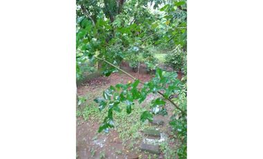 VENTA CASA LA LOCERIA BETANIA 4REC VACIA