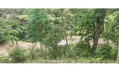 VENTA TERRENO LAGUNA SAN CARLOS