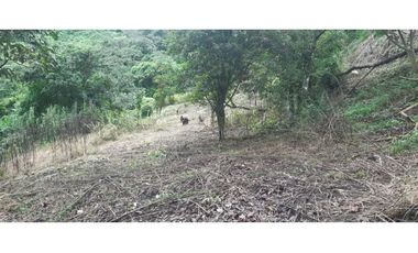 VENTA TERRENO LAGUNA SAN CARLOS