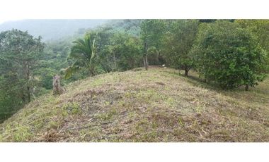 VENTA TERRENO LAGUNA SAN CARLOS