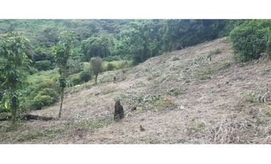 VENTA TERRENO LAGUNA SAN CARLOS