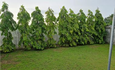 VENDO THE VILLAGE BEACH RESIDENCES ( CORONADO)