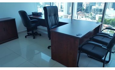 Se alquila oficina amoblada, grande y cómoda.