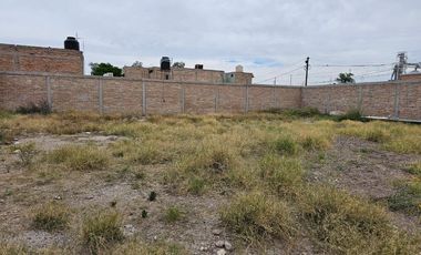 Terreno Bardeado en Renta Zona Centro Gomez Palacio Dgo.
