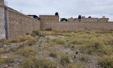 Terreno Bardeado en Renta Zona Centro Gomez Palacio Dgo.