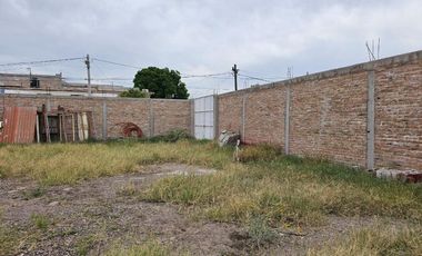 Terreno Bardeado en Renta Zona Centro Gomez Palacio Dgo.