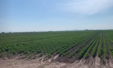 TERRENO EN VENTA EN EJIDO VEGA LARGA EN SAN PEDRO, COAHUILA