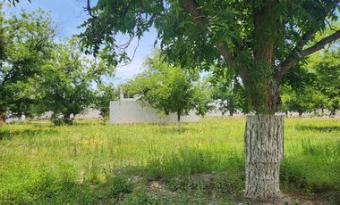 TERRENO EN VENTA EN BOSQUES DE SAN ARMANDO TORREÓN, COAHUILA