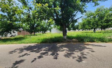TERRENO EN VENTA EN BOSQUES DE SAN ARMANDO TORREÓN, COAHUILA