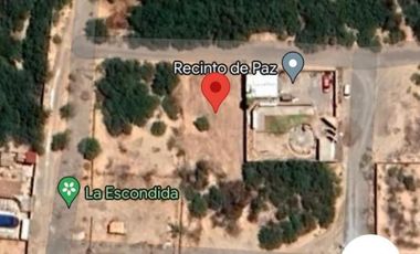 TERRENO EN VENTA EJIDO LONDRES, MATAMOROS, COAHUILA