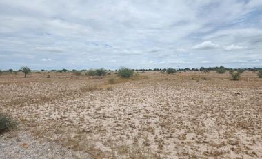 TERRENO EN VENTA EN EL EJIDO HORMIGUERO, MATAMOROS, COAHUILA