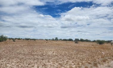 TERRENO EN VENTA EN EL EJIDO HORMIGUERO, MATAMOROS, COAHUILA