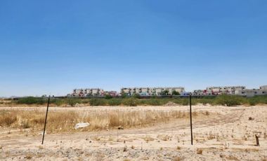 TERRENO EN RENTA EN EJIDO SAN MIGUEL MATAMOROS COAHUILA
