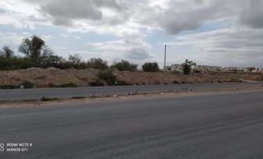 TERRENO EN RENTA EN EJIDO SAN MIGUEL MATAMOROS COAHUILA
