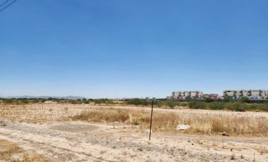 TERRENO EN RENTA EN EJIDO SAN MIGUEL MATAMOROS COAHUILA