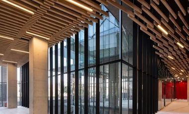 Oficina en Arriendo en bellavista 77