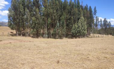 LOTE en VENTA en Oicatá CENTRO
