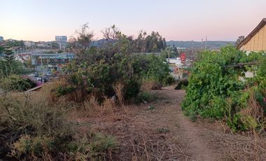 Terreno en venta, QUILPUE