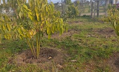 3 Dormitorios 1 Baño