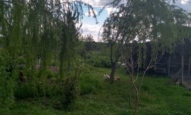 3 Dormitorios 1 Baño