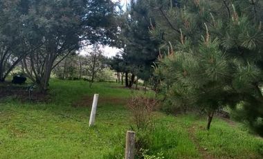 3 Dormitorios 1 Baño