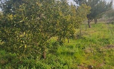 3 Dormitorios 1 Baño