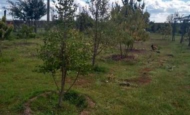 3 Dormitorios 1 Baño