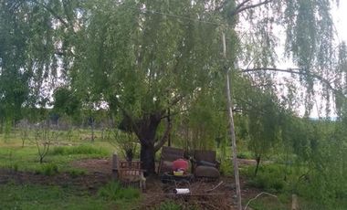 3 Dormitorios 1 Baño