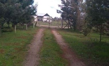 3 Dormitorios 1 Baño