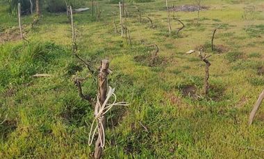 3 Dormitorios 1 Baño