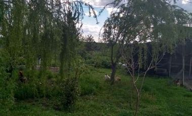 3 Dormitorios 1 Baño