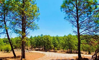 Terreno Campestre en Venta, Real de Encinos en Tapalpa