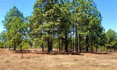 Terreno Campestre en Venta, Real de Encinos en Tapalpa