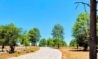 Terreno Campestre en Venta, Real de Encinos en Tapalpa