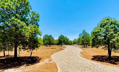 Terreno Campestre en Venta, Real de Encinos en Tapalpa