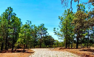 Terreno Campestre en Venta, Real de Encinos en Tapalpa