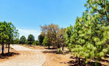 Terreno Campestre en Venta, Real de Encinos en Tapalpa