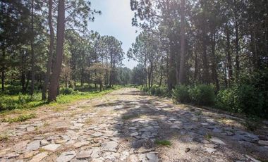 Terreno Campestre en Venta, Real de Encinos en Tapalpa