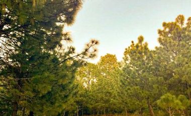 Terreno Campestre en Venta, Real de Encinos en Tapalpa