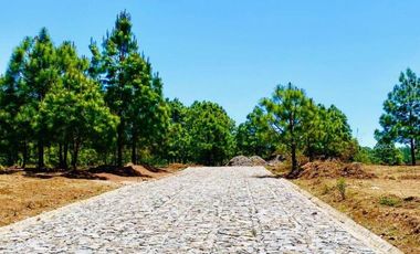 Terreno Campestre en Venta, Real de Encinos en Tapalpa