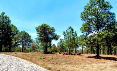 Terreno Campestre en Venta, Real de Encinos en Tapalpa