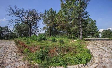 Terreno Campestre en Venta, Real de Encinos en Tapalpa