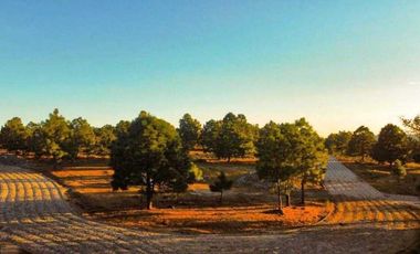 Terreno Campestre en Venta, Real de Encinos en Tapalpa